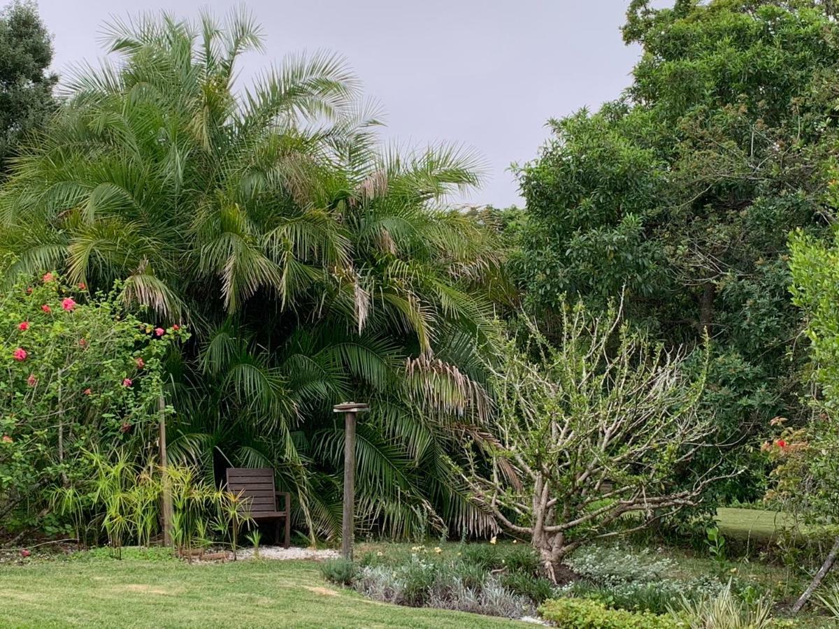 Garden Cottage In Ambiente Guest House Knysna Zewnętrze zdjęcie